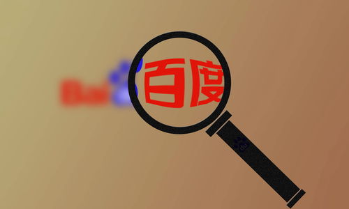 百度蜘蛛池怎么建立的